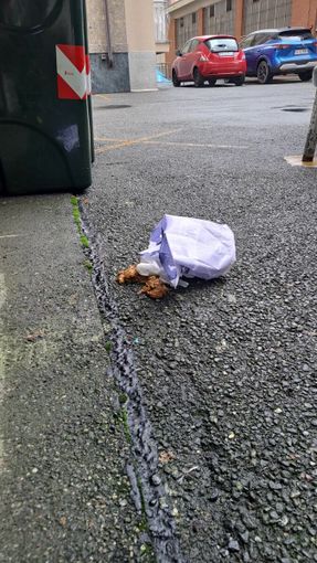 Ancora urla e schiamazzi notturni a Pozzo Strada. E nel cortile condominiale ignoti lasciano feci