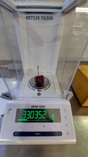 ciliegia dal peso da record