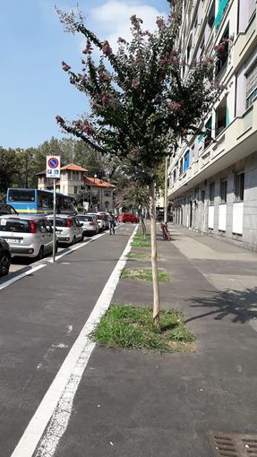 Gli attori di Assemblea Teatro piantumano otto alberi guidati dalle parole di Giono