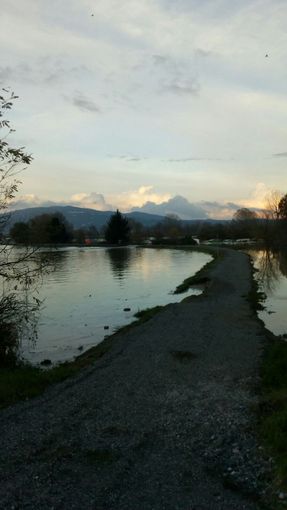 Gli agenti Tutela della Fauna e Flora della Città Metropolitana rilevano violazione alle normative per la messa in asciutta dei corsi d’acqua Gli agenti Tutela della Fauna e Flora della Città Metropolitana rilevano violazione alle normative per la messa in asciutta dei corsi d’acqua