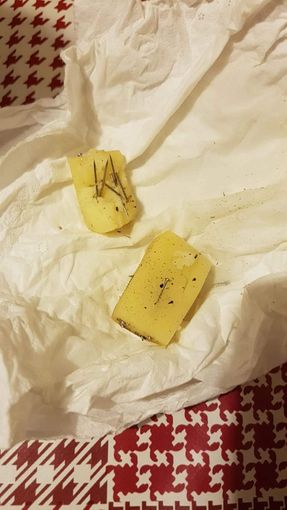 Grugliasco, torna l'allarme dei bocconi con i chiodi nell'area di viale Radich Grugliasco, torna l'allarme dei bocconi con i chiodi nell'area di viale Radich