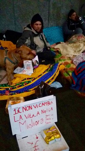 Via gli animali a chi chiede l'elemosina, Torino sospende la modifica al regolamento Via gli animali a chi chiede l'elemosina, Torino sospende la modifica al regolamento