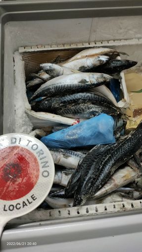 pesce e cibo mal conservato pesce e cibo mal conservato