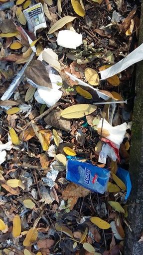 Spina 3, al lavoro per il Piano di sviluppo annuale. Sponda comitati-Circoscrizione Spina 3, al lavoro per il Piano di sviluppo annuale. Sponda comitati-Circoscrizione