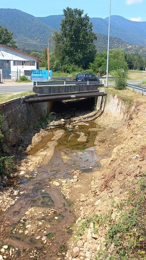 &quot;Proteggere la Sp 177 di Val della Torre dagli allagamenti&quot;: il sindaco Tappero incontra la Città Metropolitana