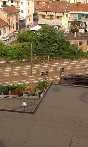 Travolto da un treno a Moncalieri, è vivo