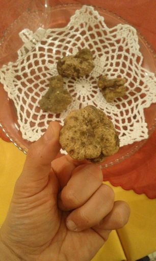 Straordinario successo per l'87ª Fiera Internazionale del Tartufo Bianco d’Alba