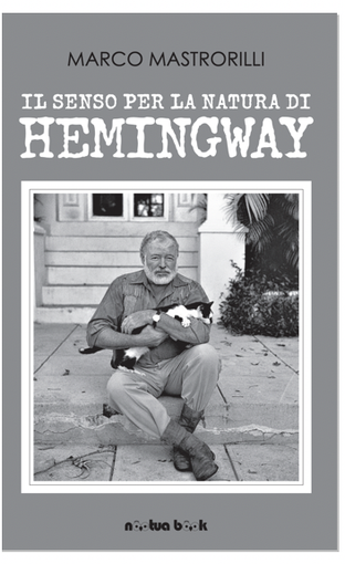 copertina libro mastrolilli