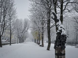 (Foto di Cinzia Consolati)