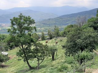 Pinerolo scopricollina