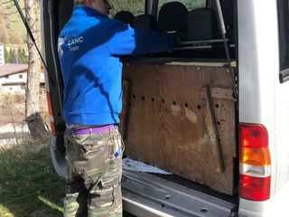 Il soccorso alla lupa