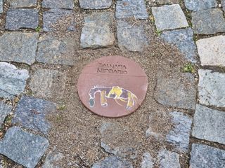 Il cavallo