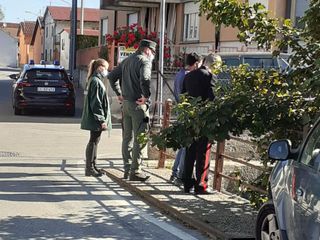 Sopralluogo serpenti Villafranca Piemonte