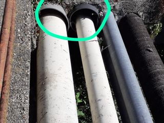 Sopralluogo serpenti Villafranca Piemonte