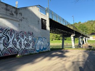 Tronchi e accumuli lungo la Passerella Maratona del Po