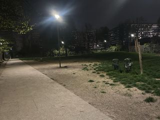 Allarme wurstel avvelenati nell'area cani