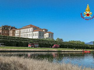 Un capriolo finisce in una grossa vasca a Venaria: portato in salvo dai pompieri