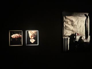 Mostra dedicata a Carol Rama presso la Fondazione Accorsi Ometto