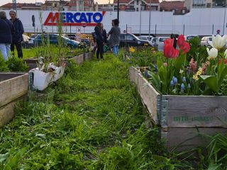 Novità in vista per i giardini di via Carrera