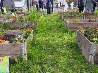 Novità in vista per i giardini di via Carrera