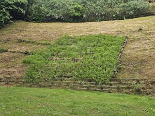 Parco Leopardi