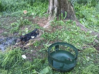 Immondizia e rimasugli nei parchi dopo il Primo Maggio