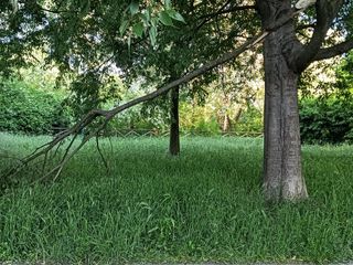 Immondizia e rimasugli nei parchi dopo il Primo Maggio
