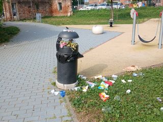 Moncalieri fa di nuovo i conti con vandali e 'furbetti dei rifiuti'