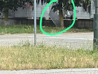 Ancora segnalazioni di abusivi al parcheggio Caio Mario