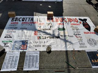 Attivisti Pro Pal in piazza Castello Attivisti Pro Pal in piazza Castello