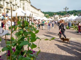 AgriFlor arriva in piazza Gran Madre