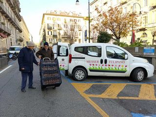Messer Tulipano nel centro di Torino