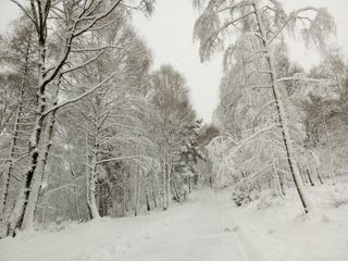 Neve a Andrate San Giacomo - Foto da canale Telegram Andrea Vuolo