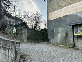 Il lupo immortalato a Oulx