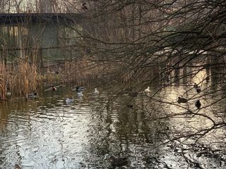 Il sopralluogo dei consiglieri in piazza d'Armi Il sopralluogo dei consiglieri in piazza d'Armi