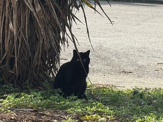 La sala Nalli di via Negarville