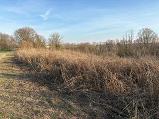 Ernesto Di Carlo, 72 anni, volontario nel parco del Sangone
