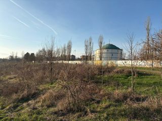 Ernesto Di Carlo, 72 anni, volontario nel parco del Sangone