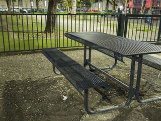 Prende vita il nuovo giardino
