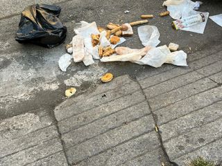 Emergenza rifiuti in zona Cenisia