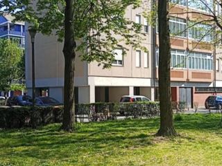 Allarme bocconi avvelenati a Mirafiori Sud