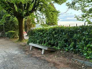 Grande dibattito sul futuro del parco Europa a Cavoretto