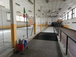 La nomina del nuovo commissario La nomina del nuovo commissario