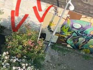 Gli spacciatori hanno trasformato il giardino in un wc Gli spacciatori hanno trasformato il giardino in un wc