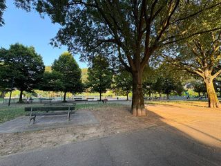 L'appello dei frequentatori del giardino di corso Caio Plinio L'appello dei frequentatori del giardino di corso Caio Plinio