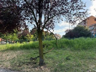 L'appello dei frequentatori del giardino di corso Caio Plinio L'appello dei frequentatori del giardino di corso Caio Plinio