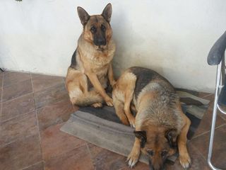 Diana e Frida;