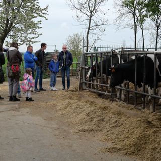 Pianezza ospita la stalla dei record in Piemonte