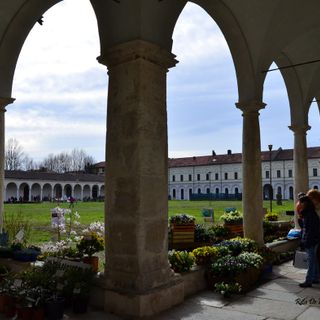 A Collegno arriva la primavera con "Follia in Fiore"