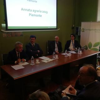 Annata Agraria 2019: il clima ha colpito la quantità, ma non la qualità, nonostante l'inverno più caldo da 62 anni